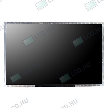 AU Optronics B121EW01 V.5