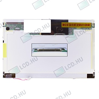 AU Optronics B121EW01 V.5