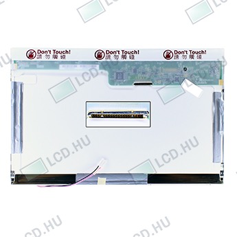 AU Optronics B121EW02 V.1