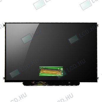 AU Optronics B133EW04 V.4