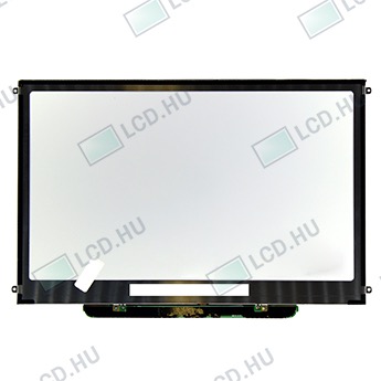 AU Optronics B133EW04 V.4